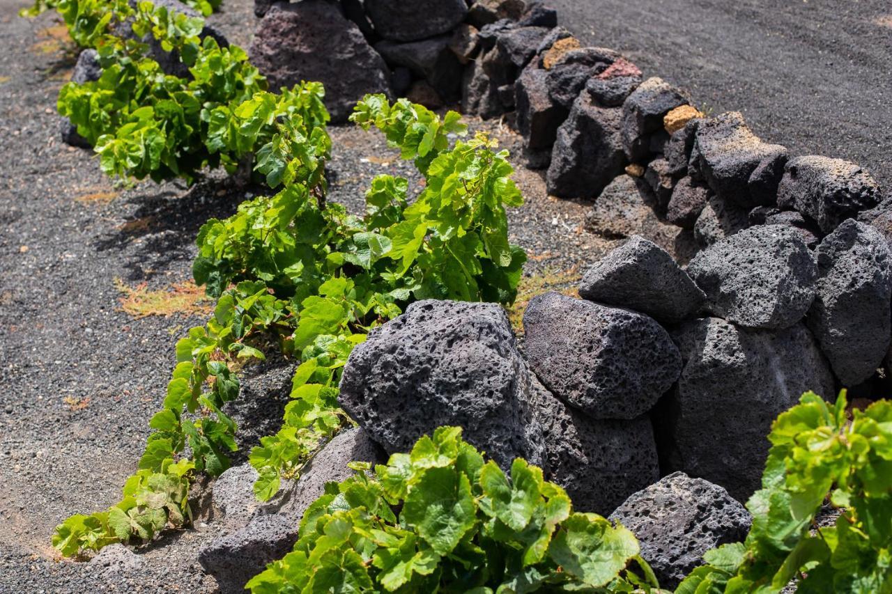 Отель Eslanzarote Eco Dome Experience Тегисе Экстерьер фото